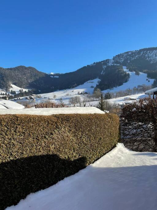 Charmant Studio + Jardin Vue Pistes Et Local Velo Praz-sur-Arly Exterior foto